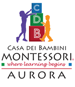 What are the five principles of the Montessori method | CDBM