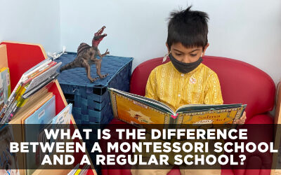 Difference between a Montessori School and a Traditional School?