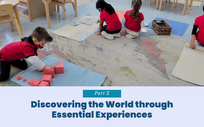 Discovering the World through Essential Experiences