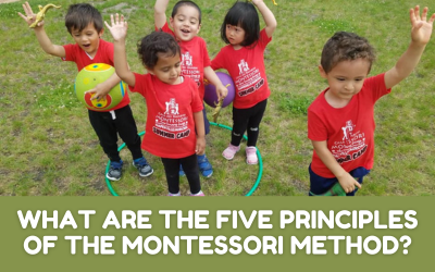 What are the five principles of the Montessori method?