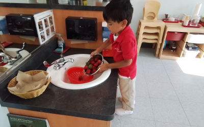 Is Montessori Right for Your Child? 6 Questions Every Parent Should Ask