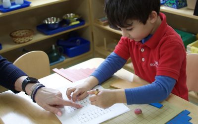 How Montessori Education Helps Train Tomorrow’s Innovators