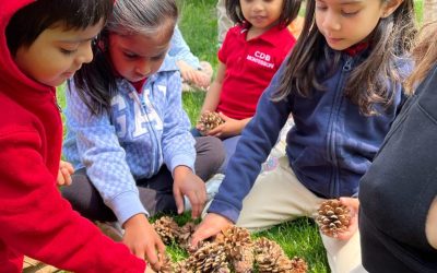 Montessori Outdoor Exploration: Nature-Based Activities for Each Age Group