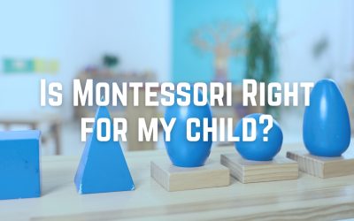 Is Montessori Right for My Child? Misconceptions vs. Reality for Sugar Grove & Aurora Parents